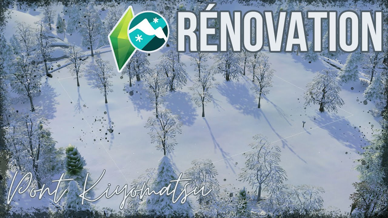 🗻 Rénovations du terrain 🏔️❄️ 