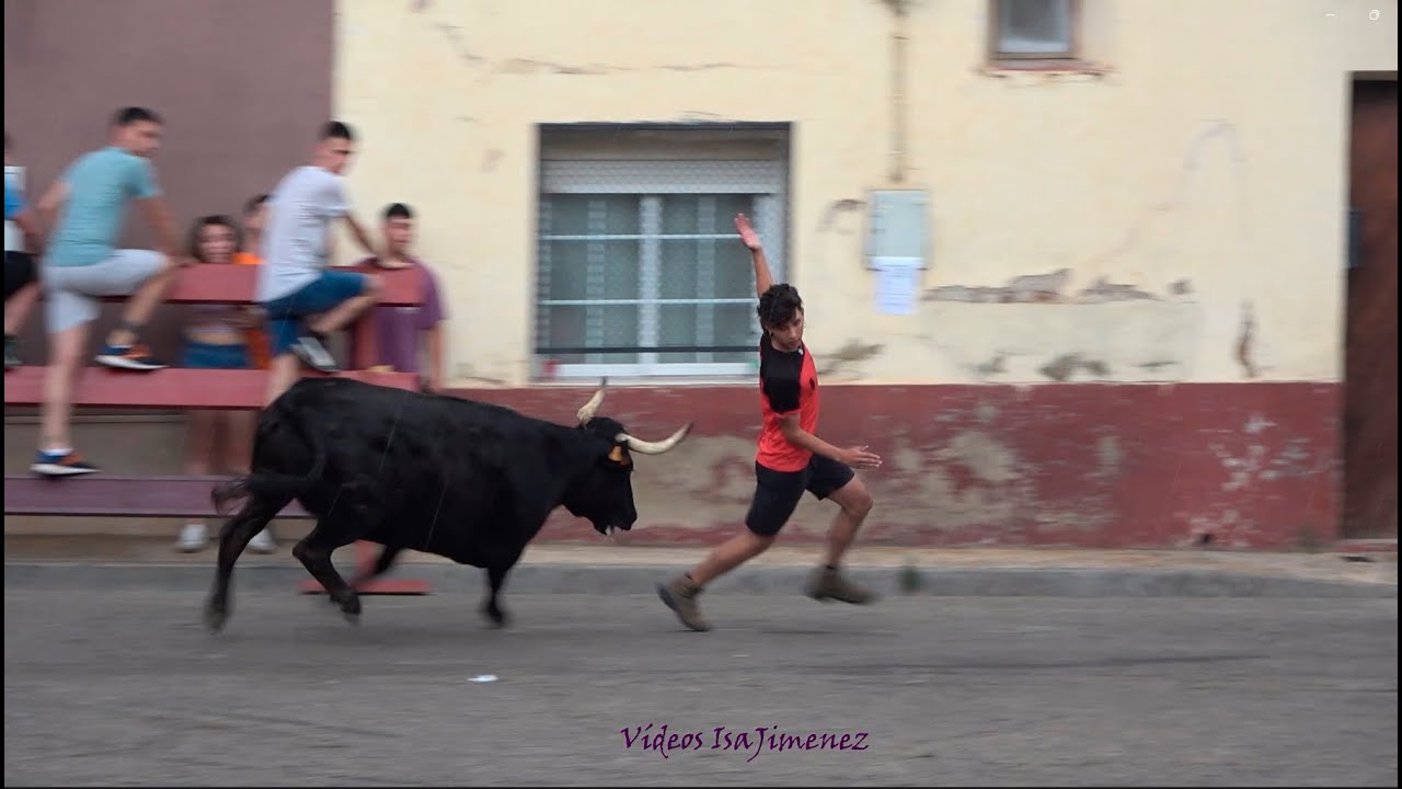 Alagón (Zaragoza) - 13,14 y 15/06/2025 - Encierros - HD