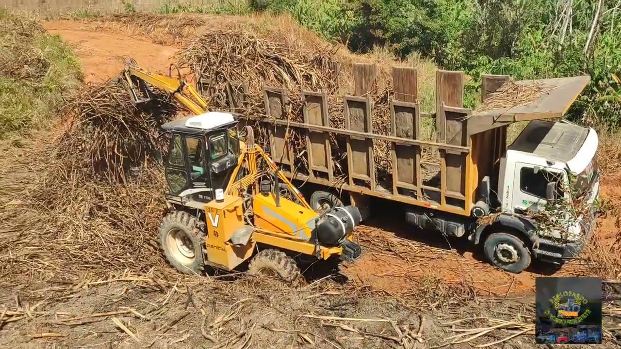 OS ÚLTIMOS CARREGAMENTO DA SAFRA NA GROTA DA FAZENDA UNUSU!!