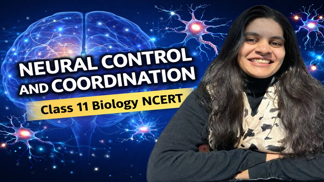 Chapter 18 : Neural Control and Coordination | Class 11
