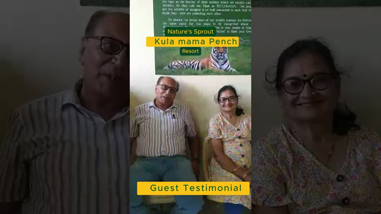 Why Guests Love Kulamama Pench Resort | Real Experiences & Reviews #pench #resort #penchresort