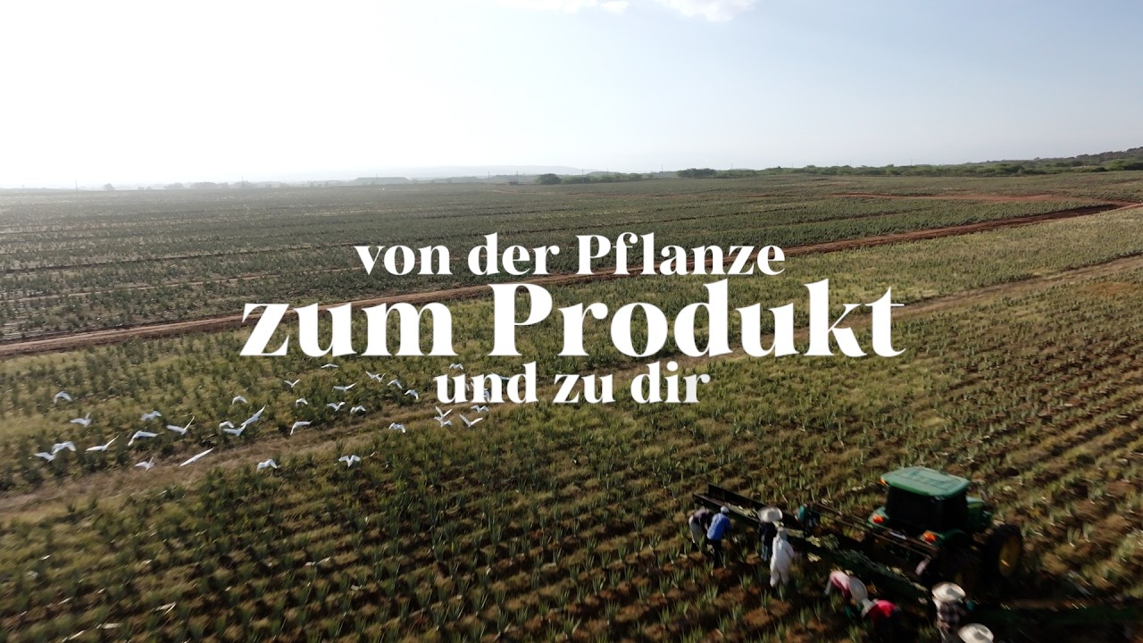 Forever Living Products: Von der Pflanze zum Produkt und zu dir