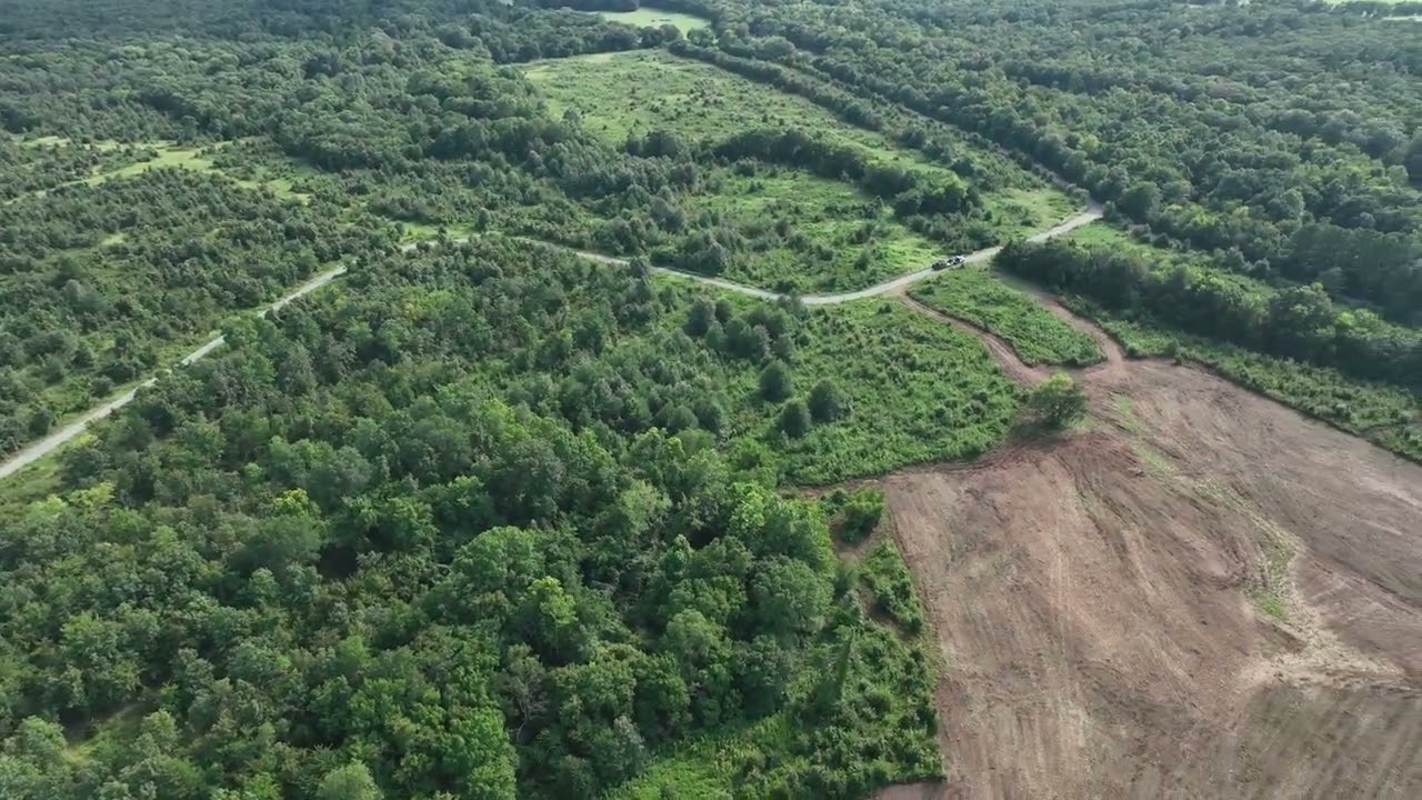 Buffalo Valley, Oklahoma Land Clearing and Forestry Mulching