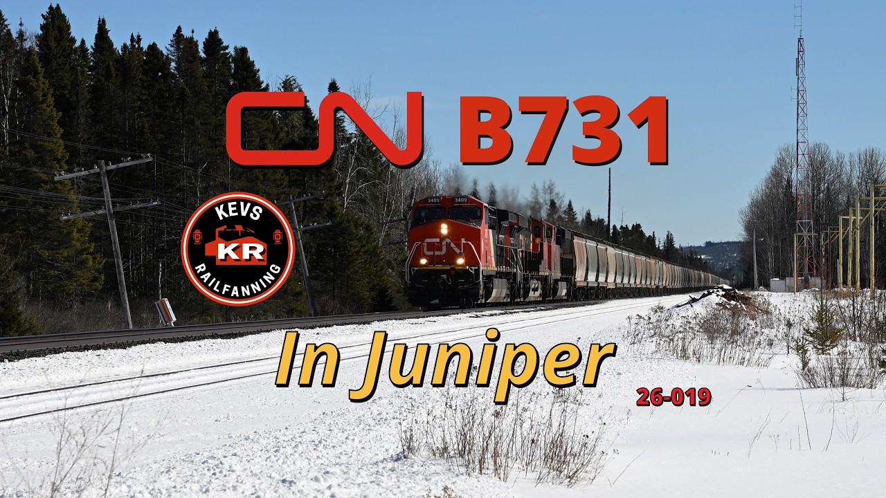 CN B731 In Juniper, 26-019