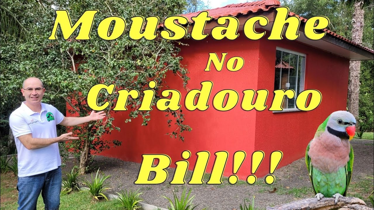 Bill também cria Moustache!!!