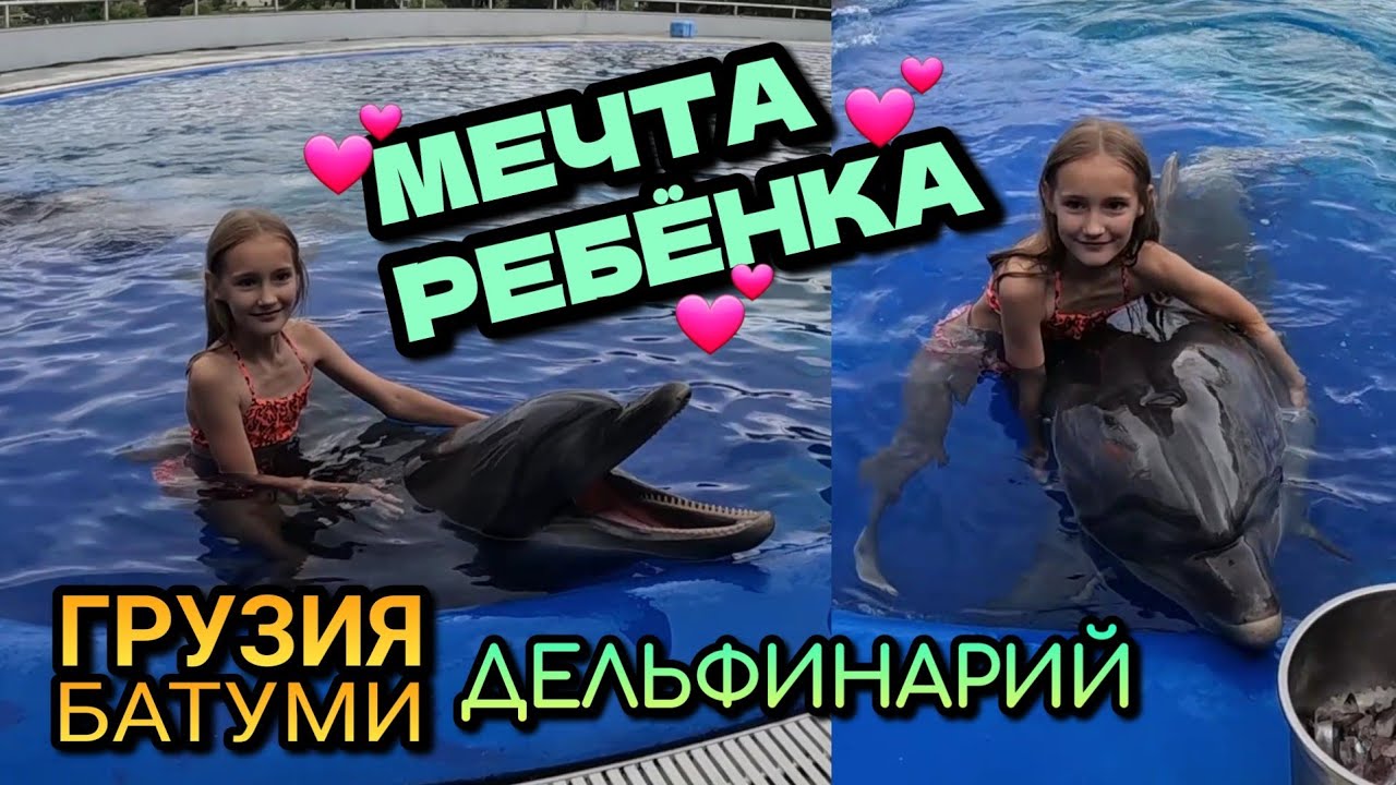 ПЛАВАТЬ С ДЕЛЬФИНАМИ - СБЫЛАСЬ МЕЧТА РЕБЁНКА / Грузия, Батуми, дельфинарий / Июнь 2023