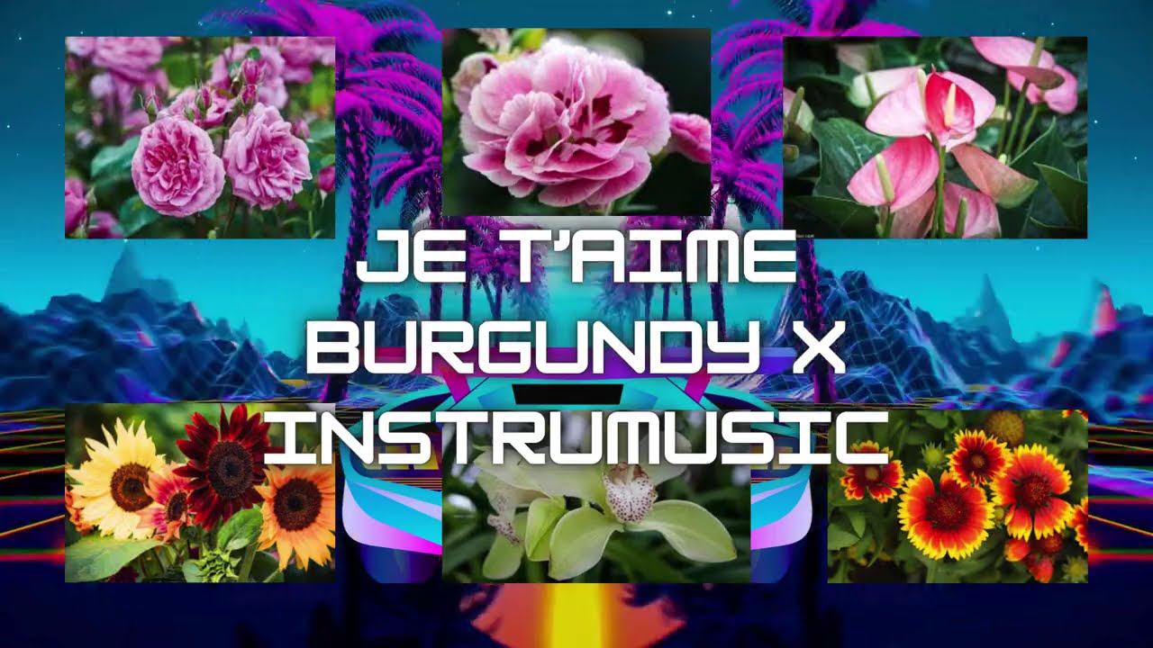 MAJESTIC FLOWER  ON THE PANORAMIC VIEW [INSTRUMUSIC]/ RT EPSD-4 / BY CEDBORINSTRUMUSIC-ARTGAL67