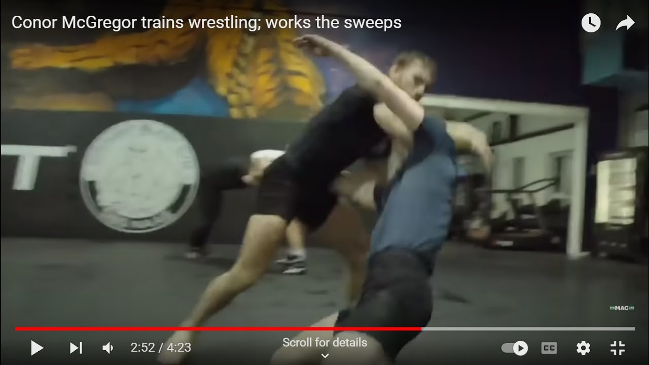 Conor McGregor AIKIDO? Steven Seagal DanTheWolfman Show Irimi Nage Hands 1st Self-Defense Wrestling!