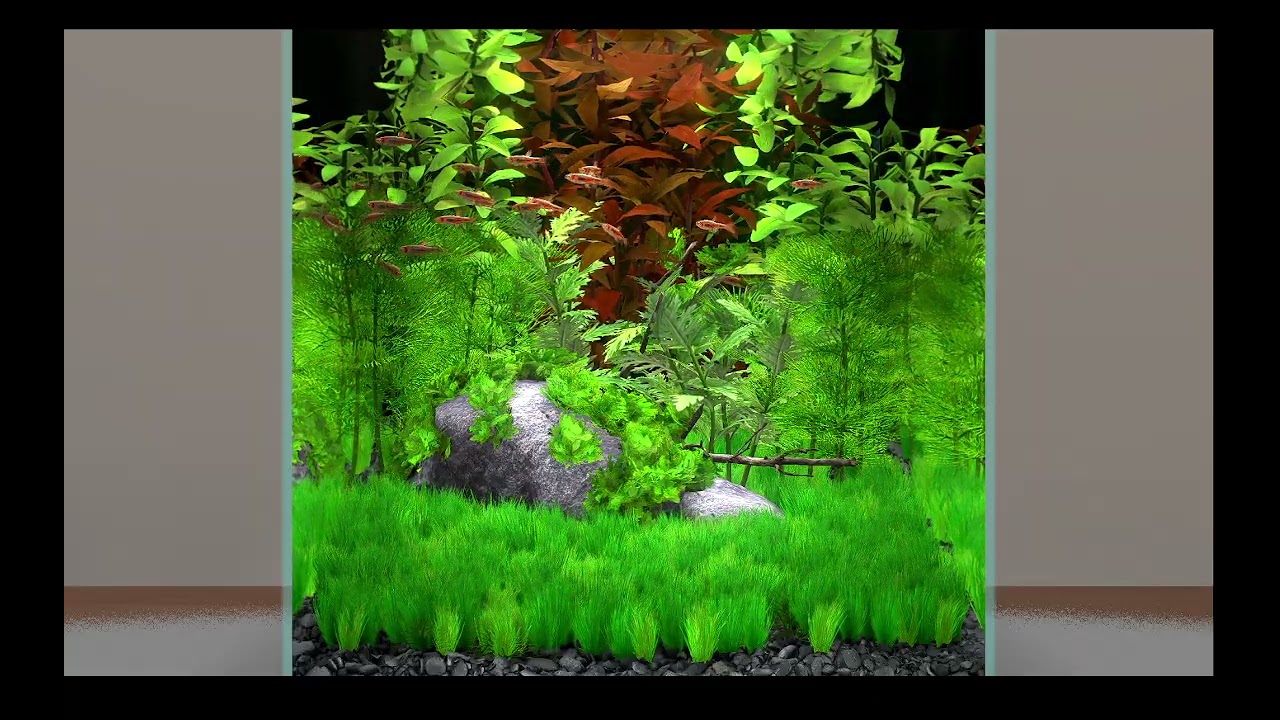 AQUARIUM / FISHTANK IDEAS - ultimate virtual fishtank