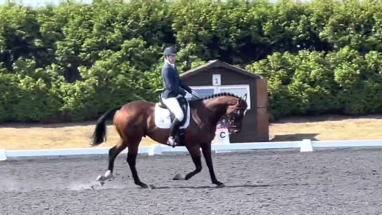 Arogo, prelim freestyle to music area festival, Sheepgate, 9/8/2022 68.81%