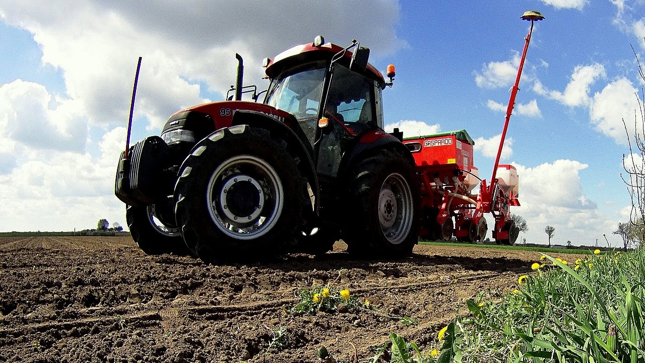 🌽 Kukurydza 2015 🌽 | Pioneer | Nowy siewnik Gaspardo | Case |