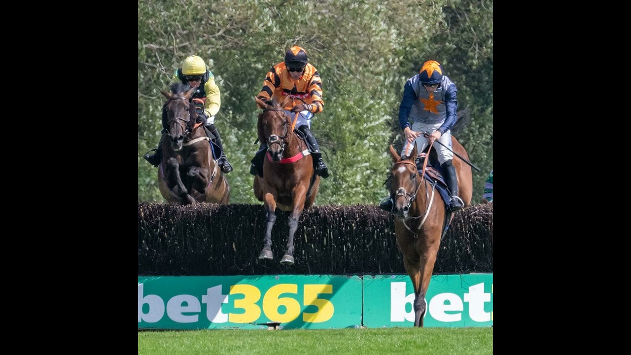 Christmas Special - How to shoe a racehorse