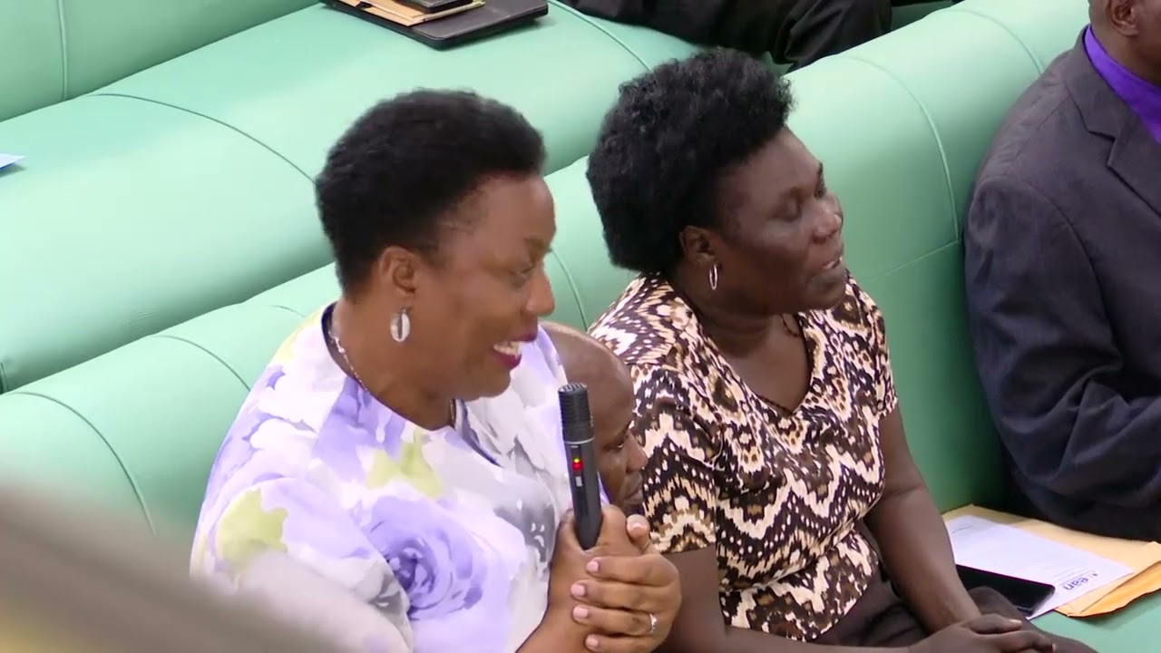 BAMBI SHE IS MY RELATIVE - MPs shocked while discussing the lady who slapped a Policeman #ogapromoug
