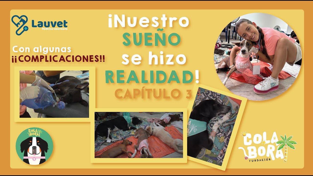 ¡ESTE SUEÑO SE HIZO REALIDAD! ColaBora Tolú | Capitulo 3 - Lauvet