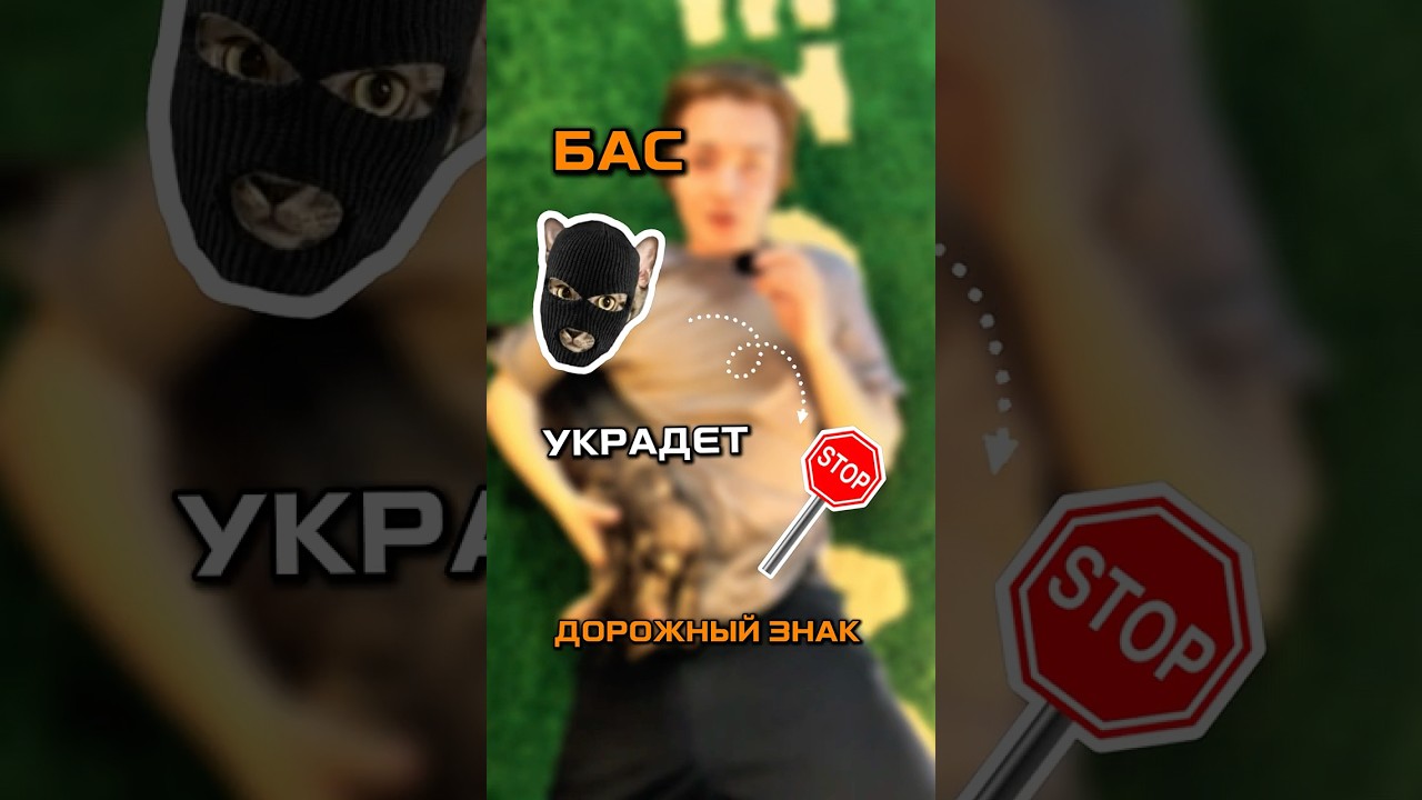 @bas2tet - Создаем гармонию между вашим интерьером и счастливым котом