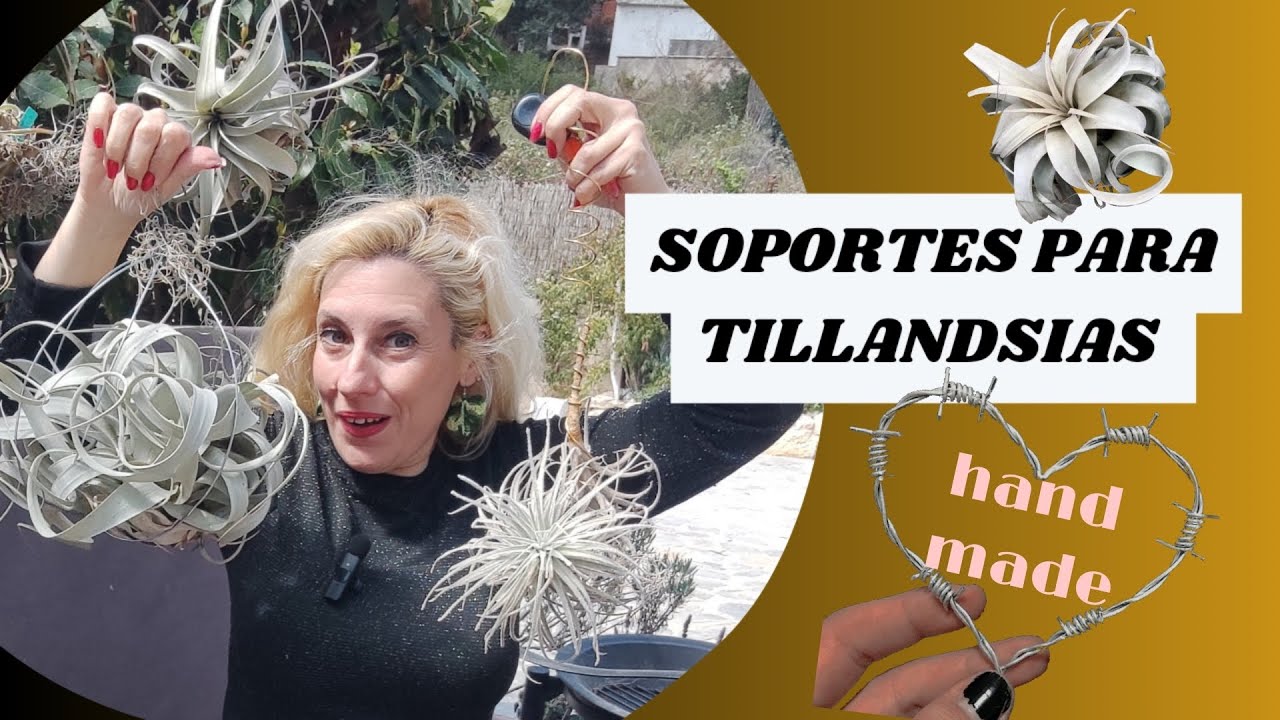 Hacer PORTA TILLANDSIAS en ALAMBRE /esferas porta tillandsias