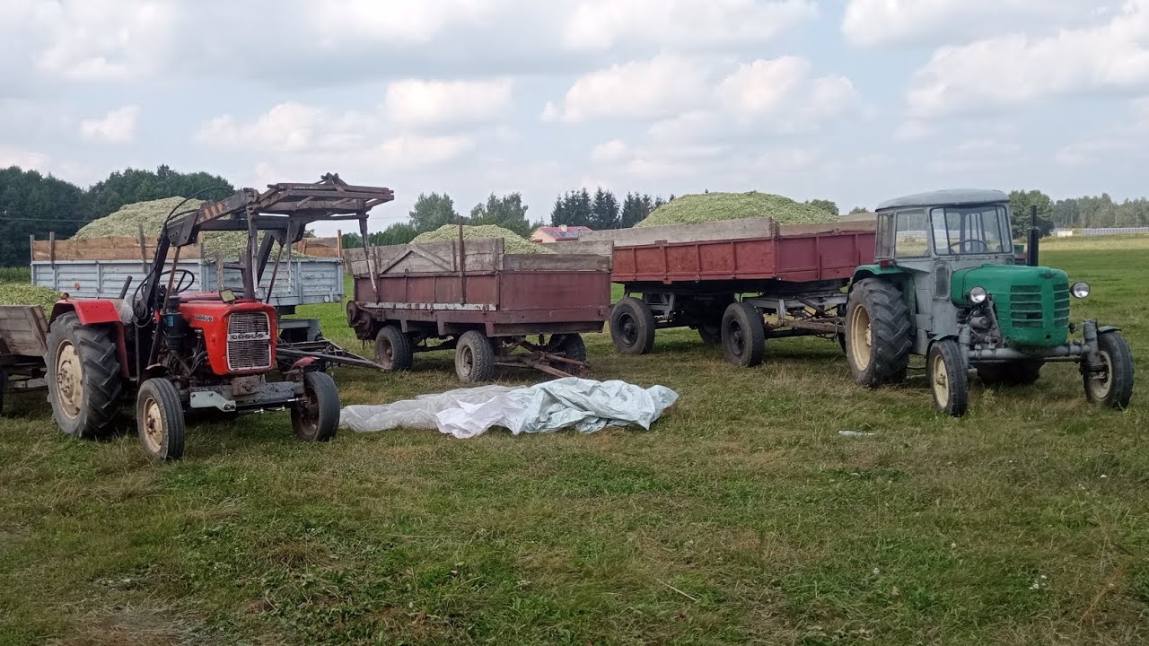 🔥pierwsi we wsi🔥KOSZENIE KUKURYDZY NA KISZONKĘ🌽C-4011,C-360,C-330,New Holland🔥