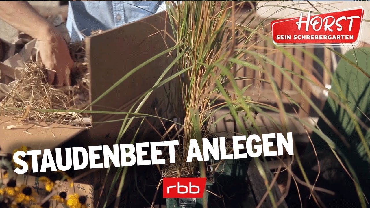 Staudenbeet richtig anlegen | Horst sein Schrebergarten