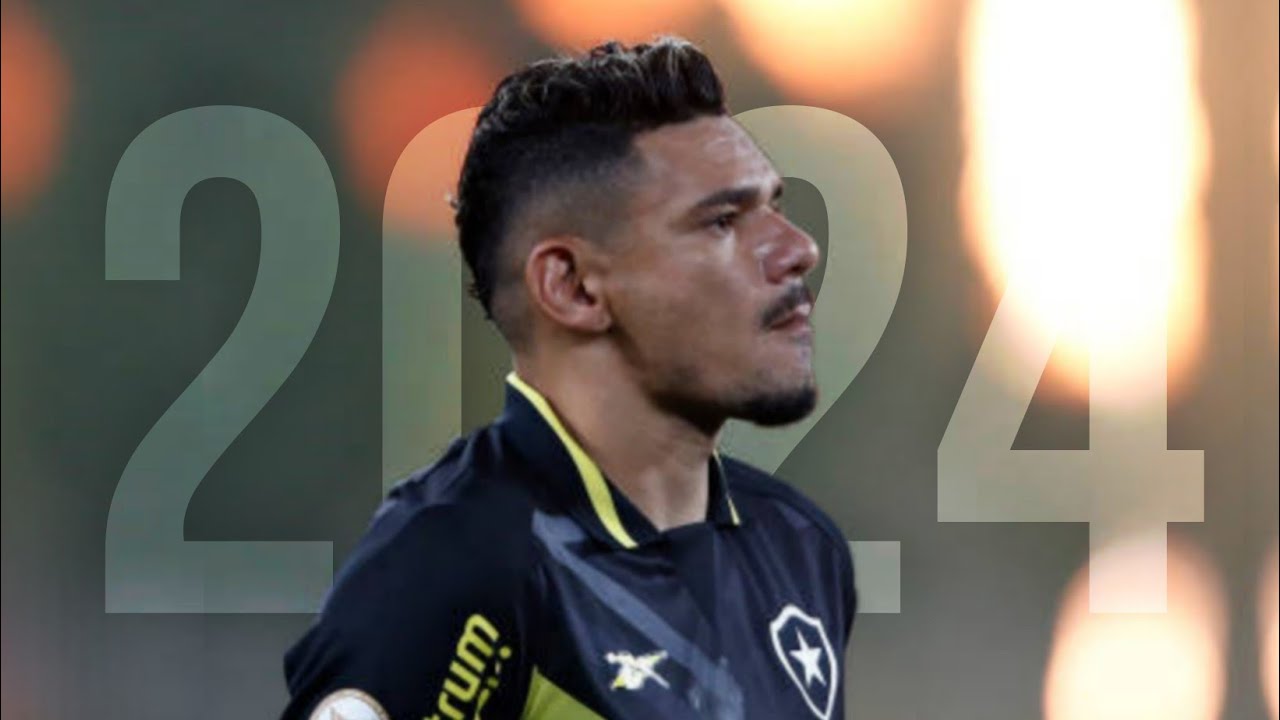 Tiquinho Soares 2024 ● Botafogo FR ► Gols, Dribles & Assist&ecirc;ncias | HD