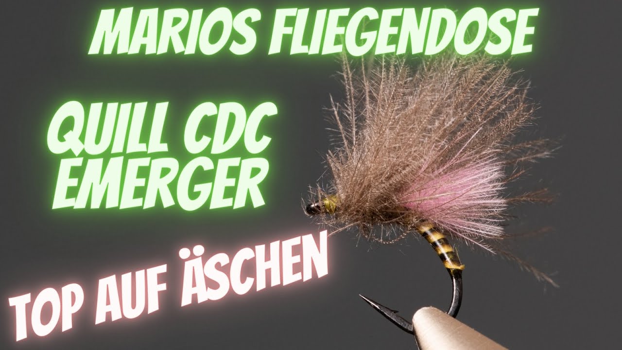 Quill CDC Emerger - Äschenfliege - Marios Fliegendose