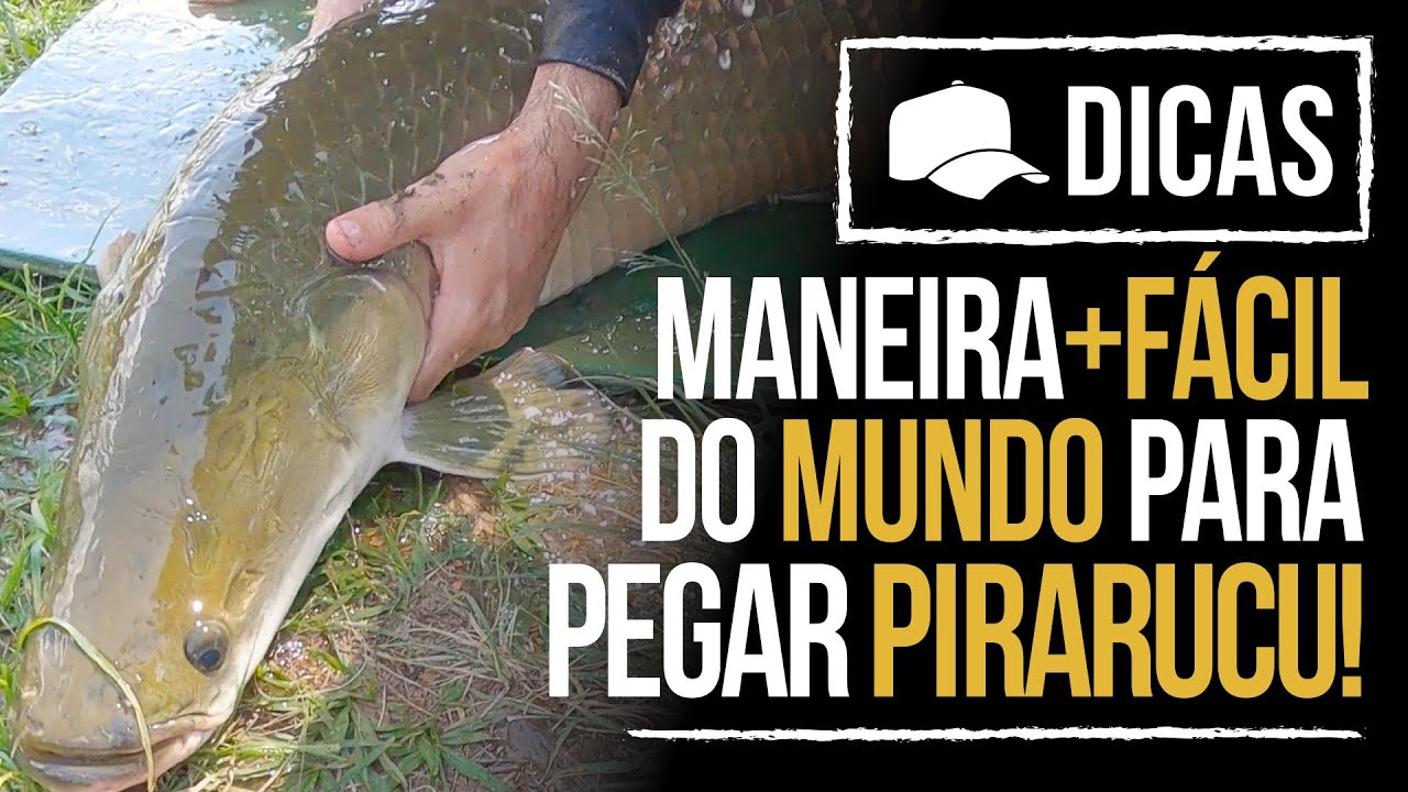 A MANEIRA MAIS FÁCIL DO MUNDO DE PESCAR PIRARUCU (DICA)
