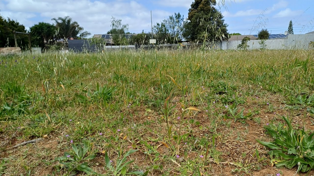 Welgemoed Park looks SHOCKING💩! Is the City of Cape Town dropping the ball? 😳 