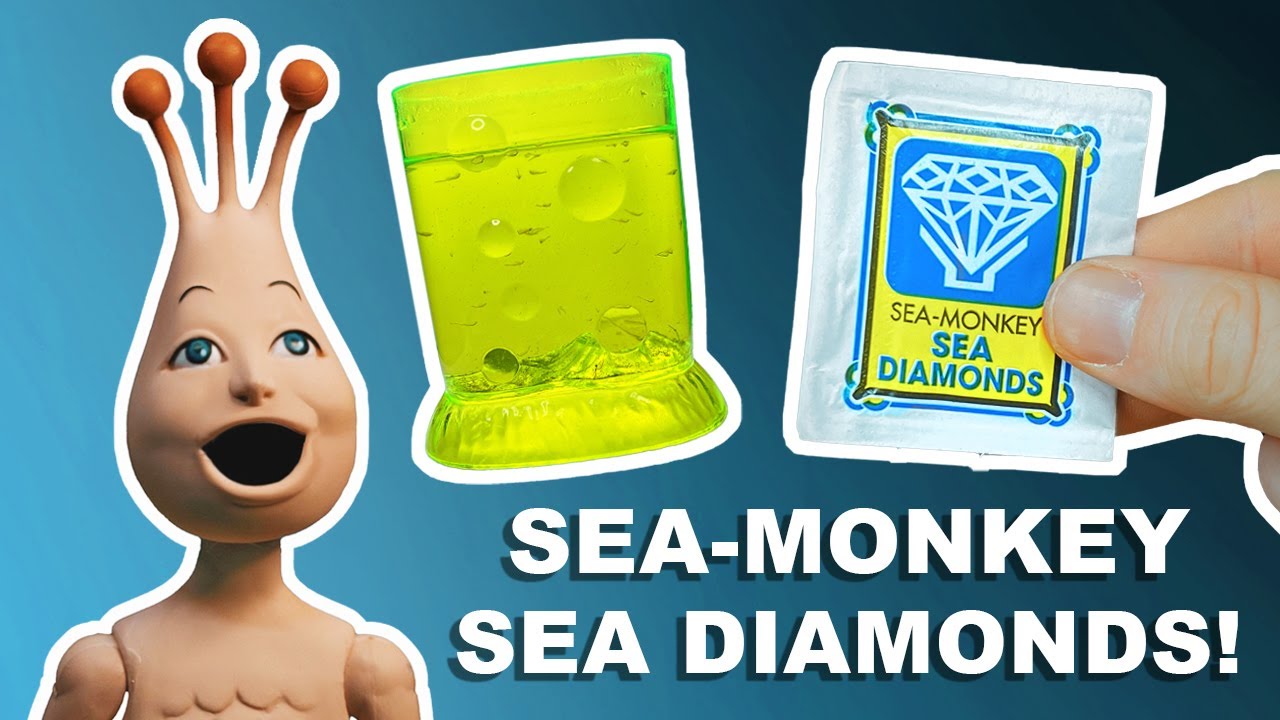 Sea-Monkeys Ocean Of Fun | RARE!