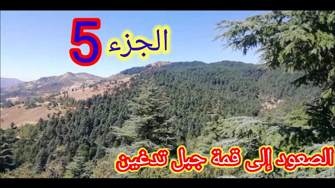إنبهرت من جمال أرز جبال الريف ودخلت مدينة إساكن