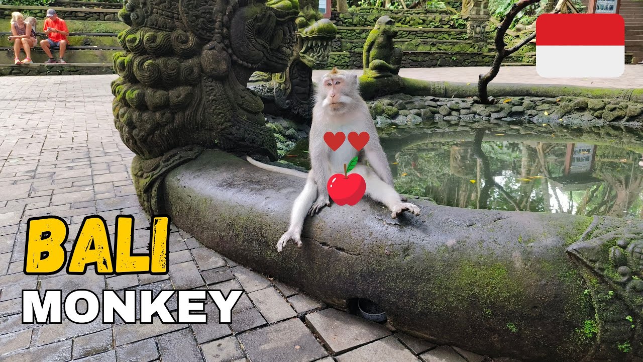 Exploring Bali's Sacred Monkey Forest: Monkeys, Temples, and Cultural Delights in Ubud Indonesia