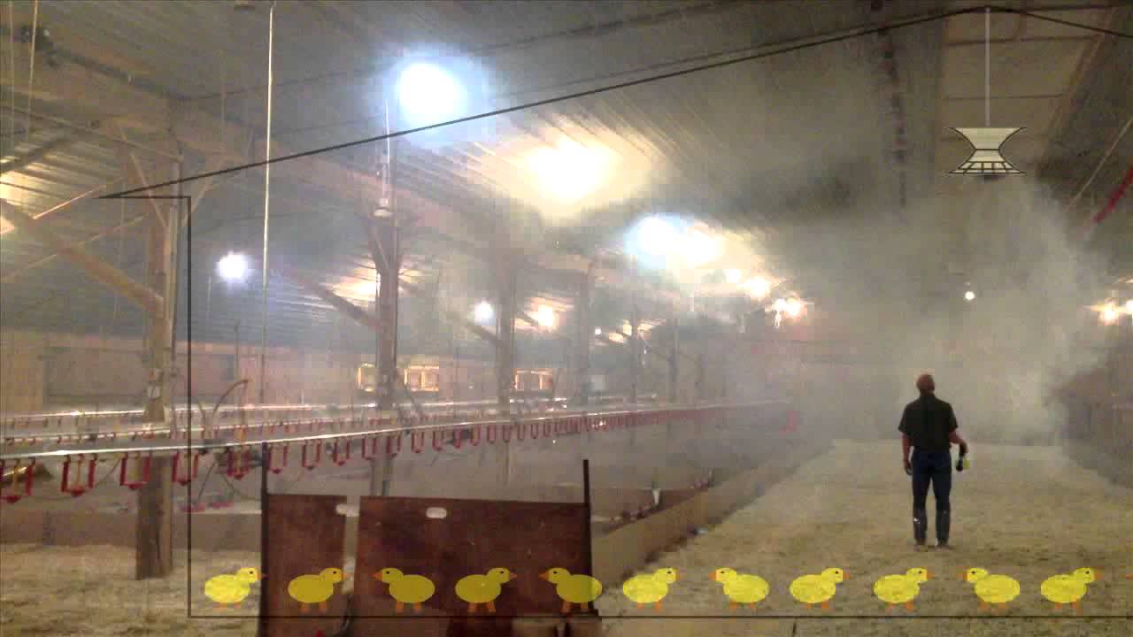 Vertical ventilation in poultry houses with the Multifan V-FloFan by Vostermans Ventilation