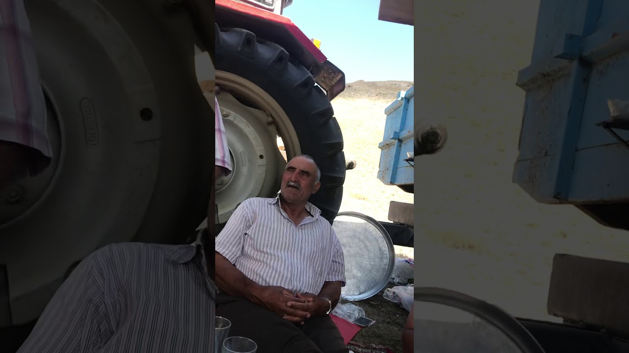 Yeşilyaka (ŞEBGE) Doğan Taş ALGIZ (2)