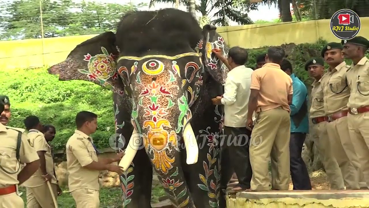 mysore dasara 2022 | mysore dasara elephant 2022 | dasara status | dasara | dasara mysore 2022