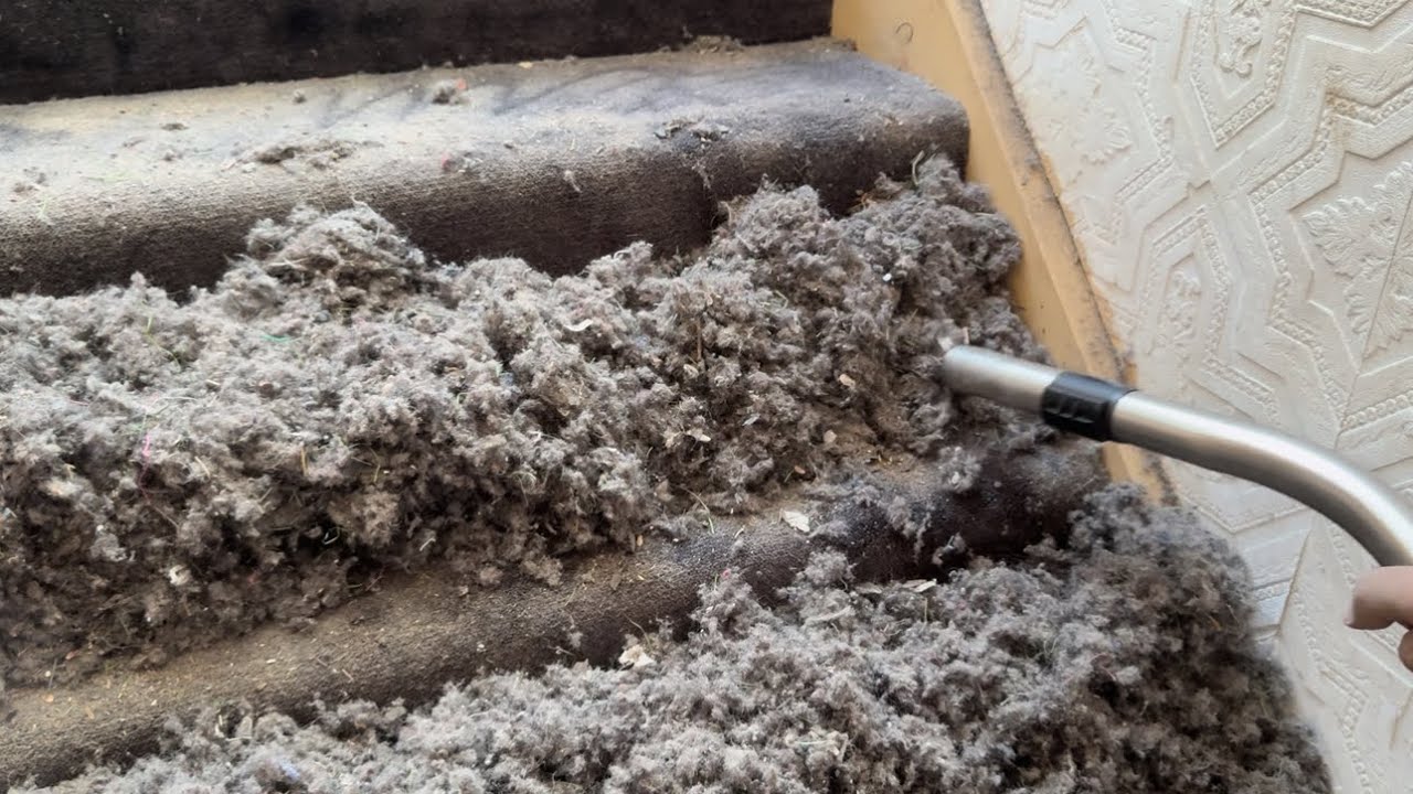 The biggest stair vacuuming video EVER!!!