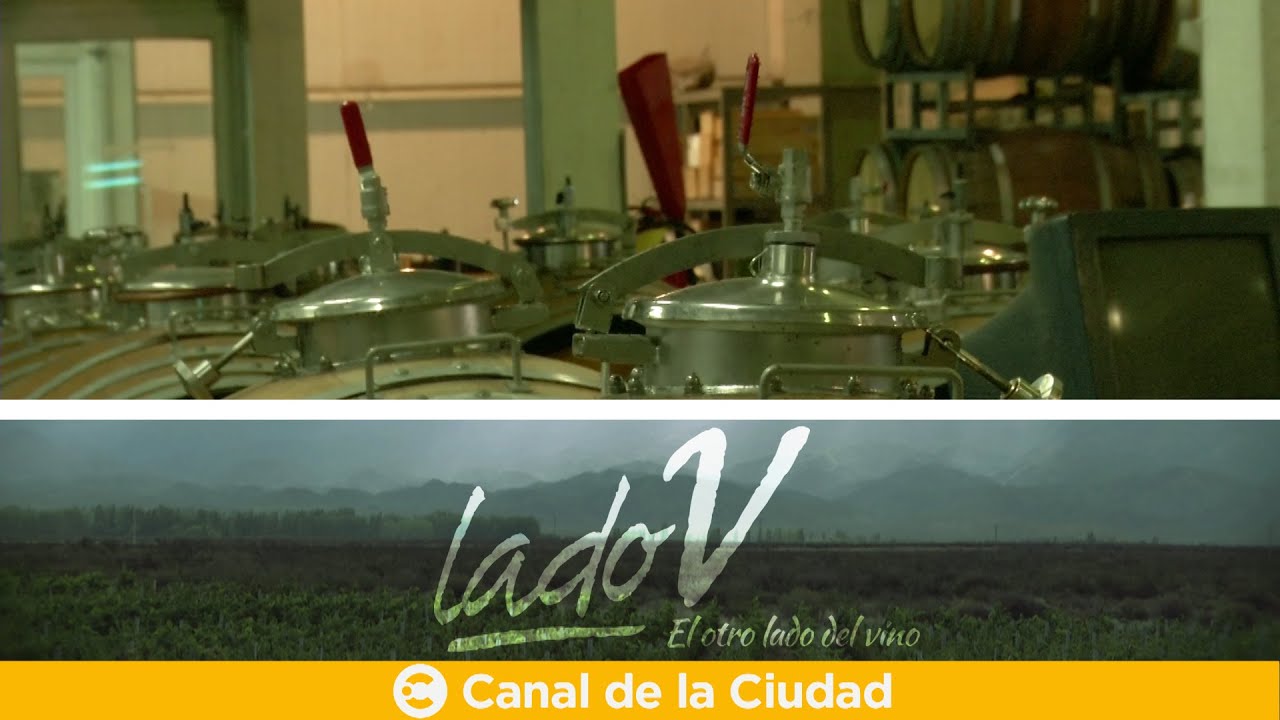 Los secretos del Chardonnay de Catena Zapata, en Lado V