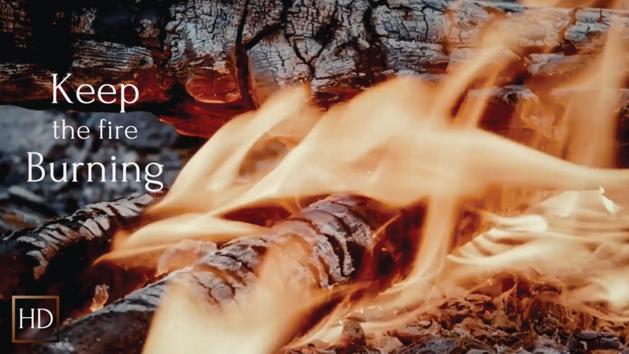 Healing Campfire Ambience ✨ Forest ASMR | Relaxing Wind and Flames - HD