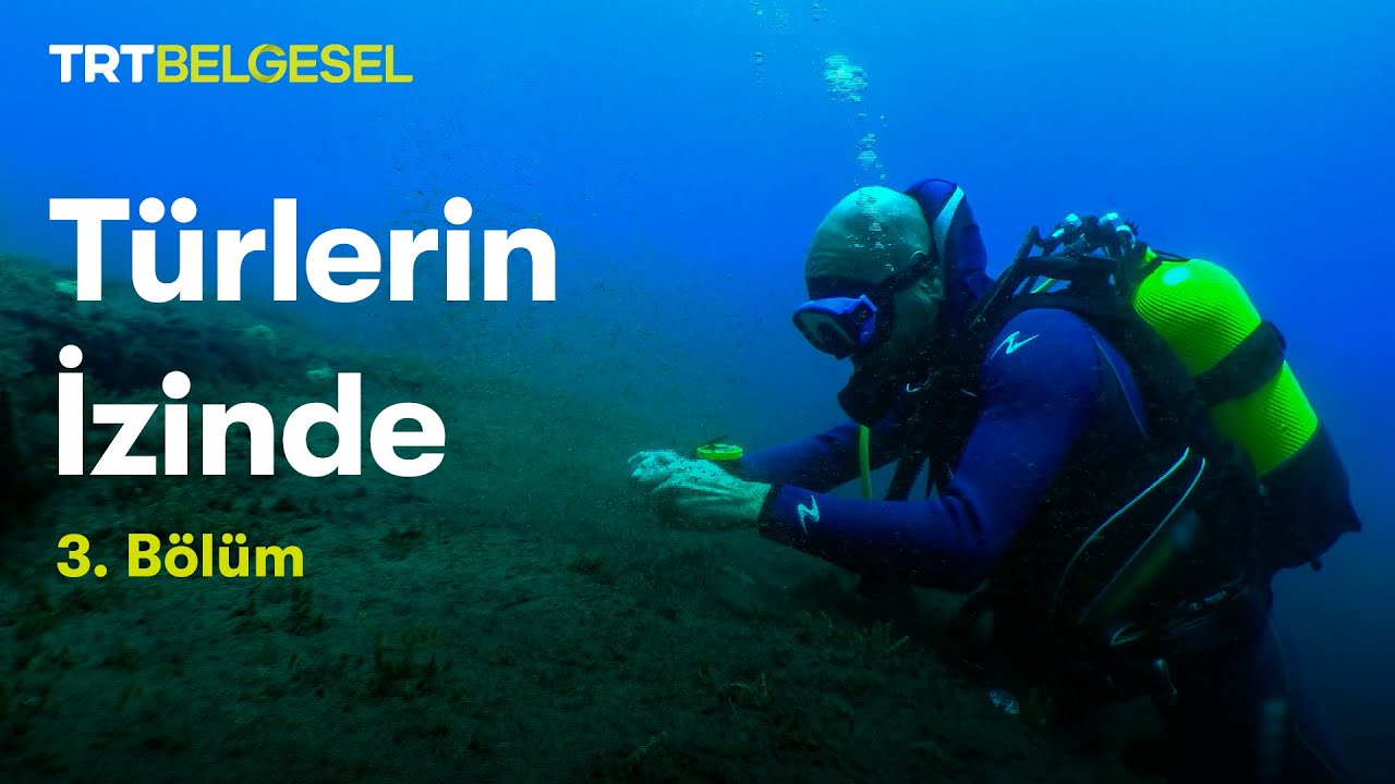 Türlerin İzinde | 3. Bölüm | TRT Belgesel