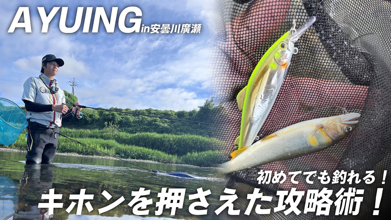 【アユイング】今年も開幕！安曇川アユイングを完全攻略！