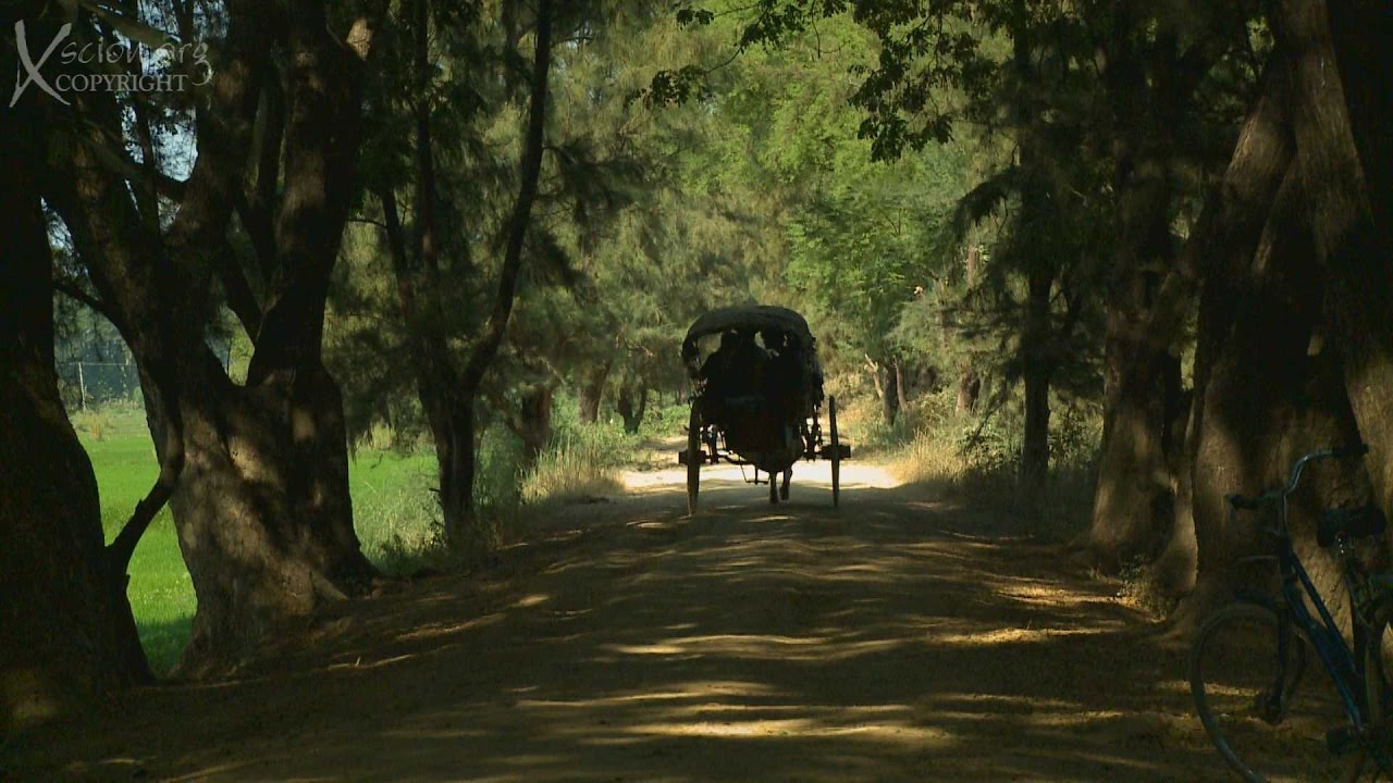 Inwa Burma (Myanmar) HD