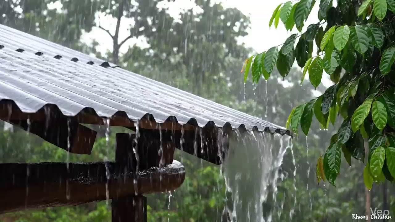 Live Heavy Rain on a Cottage Roof | ASMR for Stress Relief