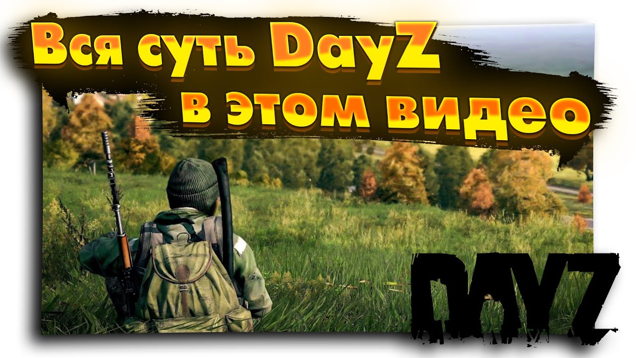 Ты ожидал такое от DayZ? Интересные истории/ Сервер у Костра