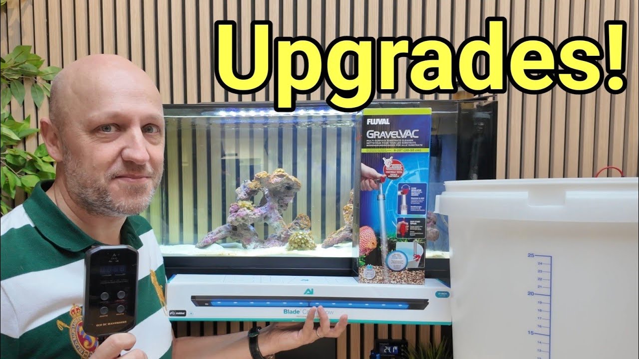 Which Upgrades Should You Buy and Which Should You Avoid? TMC First Wave Beginner Nano Tank