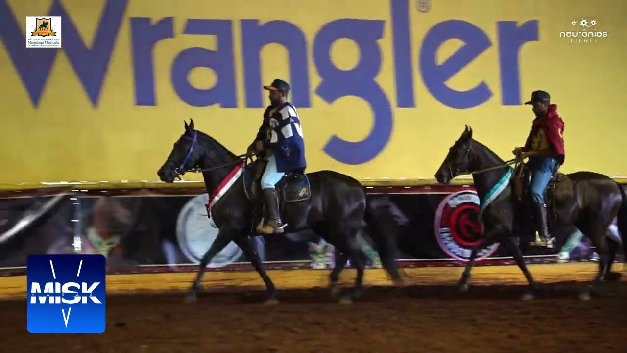🐴 Emo&ccedil;&atilde;o ARJ -  Filha da melhor reprodutriz do ranking