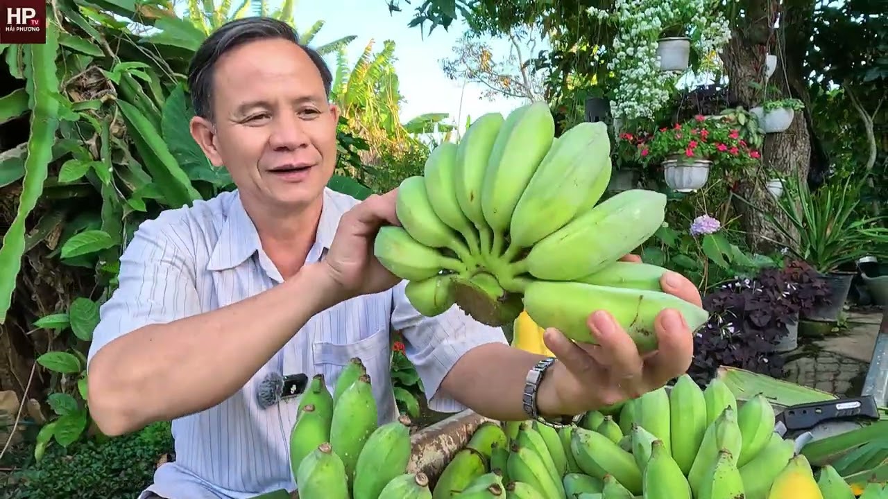 4 bài thuốc trị bướu tuyến giáp bướu cổ cực kì hiệu quả ít tốn kém