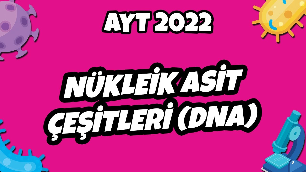 AYT Biyoloji - Nükleik Asit Çeşitleri (DNA) | AYT Biyoloji 2022 #hedefekoş