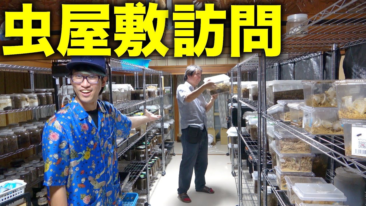【3年ぶり】日本一おしゃべりな遊楽舎店長が購入した昆虫用の家がヤバすぎた