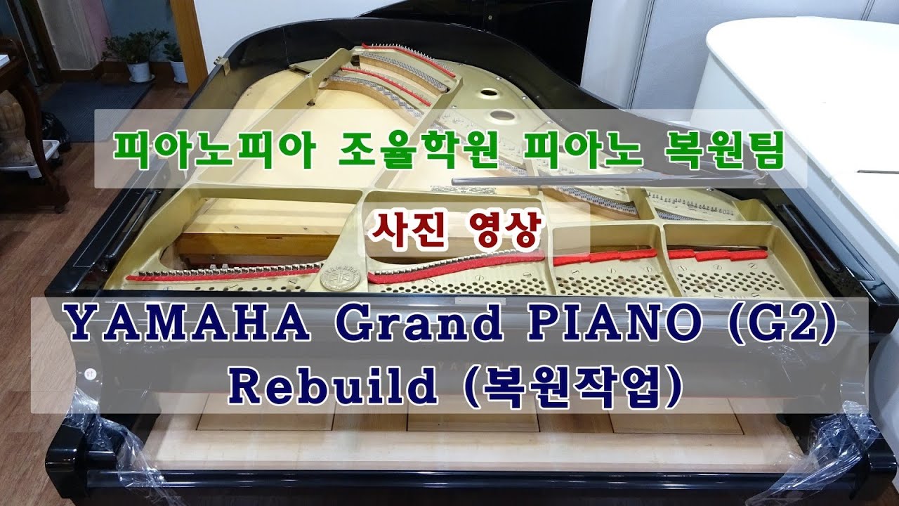#야마하 리빌트(복원) 사진영상