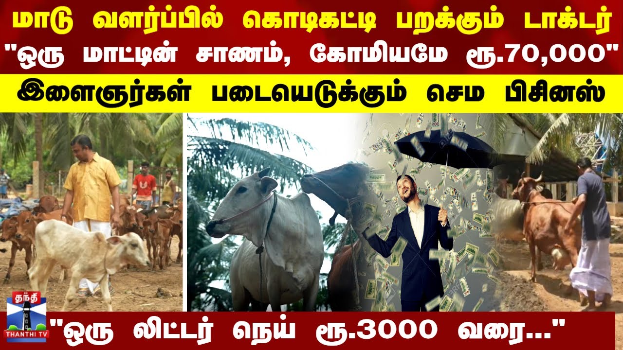 Cow farming | மாடு வளர்ப்பில் கொடிகட்டி பறக்கும் டாக்டர் - இளைஞர்கள் படையெடுக்கும் செம பிசினஸ்