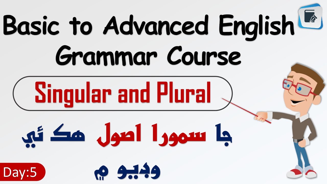 All Rules of Singular and Plural explained in Sindhi | English in Sindhi
