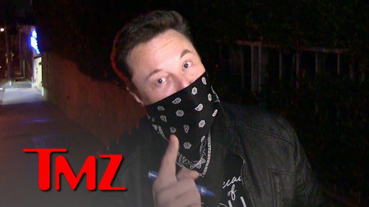 Elon Musk Says Dogecoin Could Be the Future of Cryptocurrency | TMZ