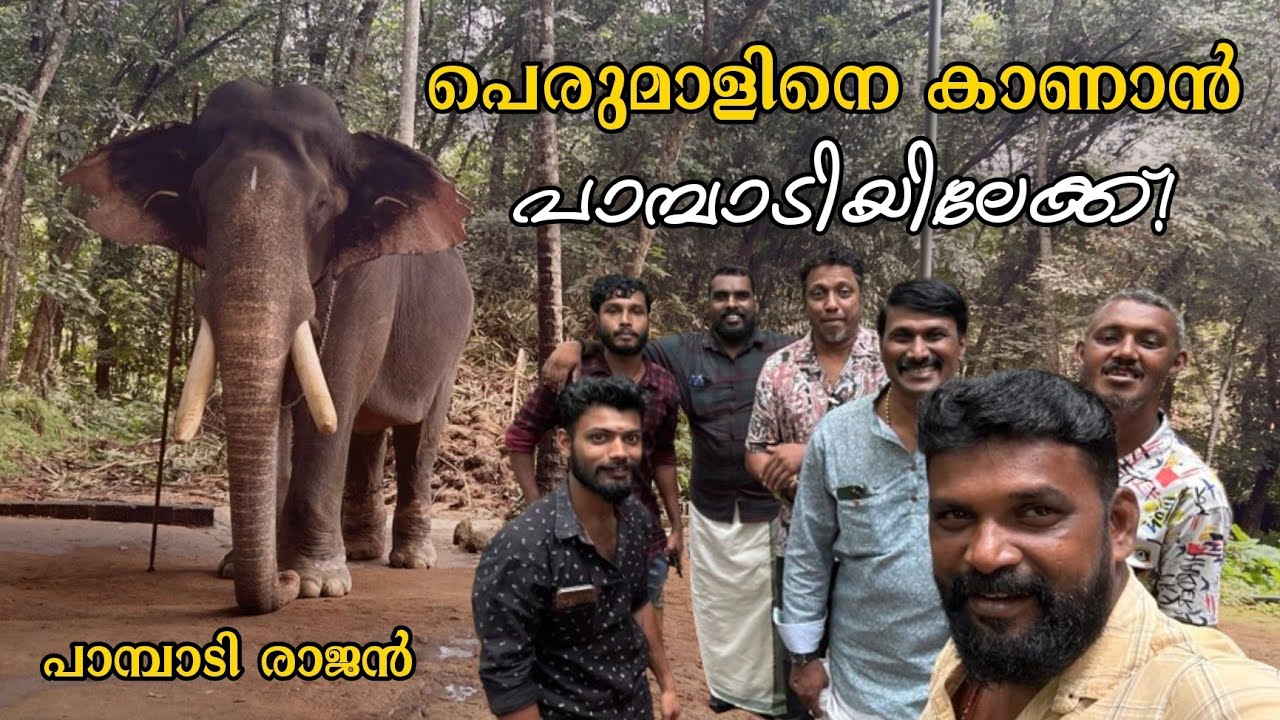 പാമ്പാടി രാജന്റെ വിശേഷങ്ങൾ പകർത്താൻ അവരും! | Manoj Puthuppally | Vishnu Thuruthy | MK Channel